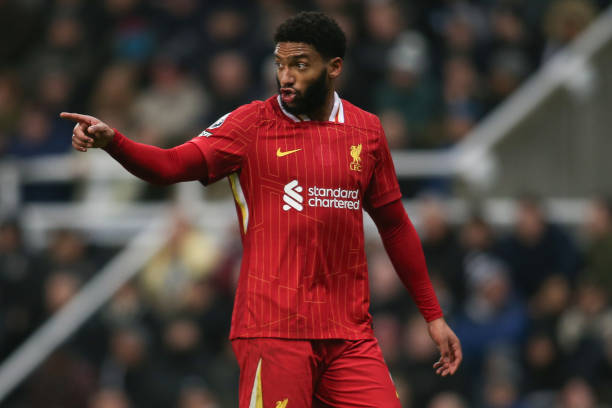 有其独特的 有其独特的